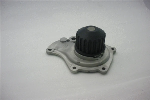 Pompe à eau, refroidissement du moteur GMB GWCR-39A