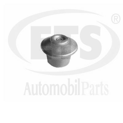 Support moteur ETS 31.EM.902