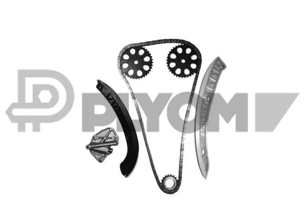 Kit de distribution par chaîne PLYOM P462411