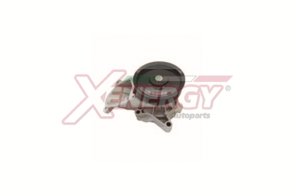 Pompe à eau, refroidissement du moteur AP XENERGY X208079