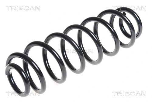 Ressort de suspension TRISCAN 8750 29315