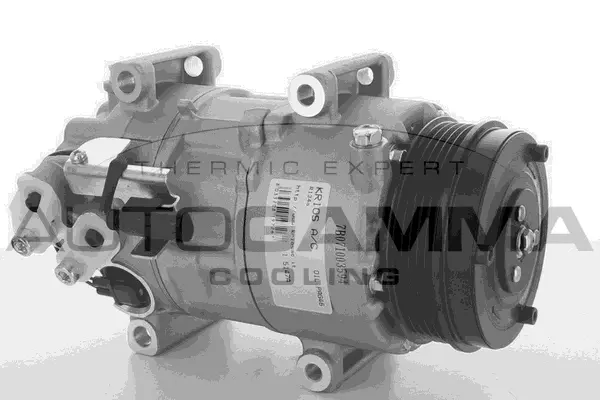Compresseur, climatisation AUTOGAMMA 108888