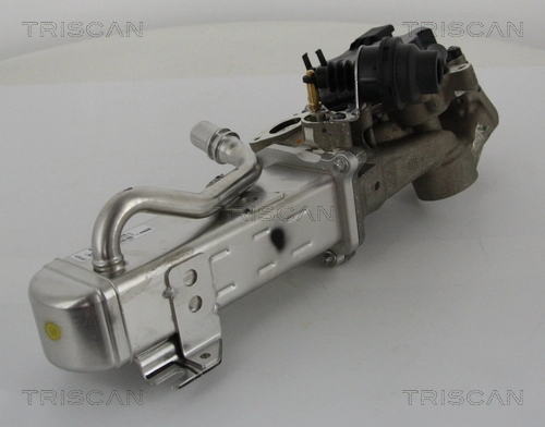 Vanne EGR TRISCAN 8813 28044