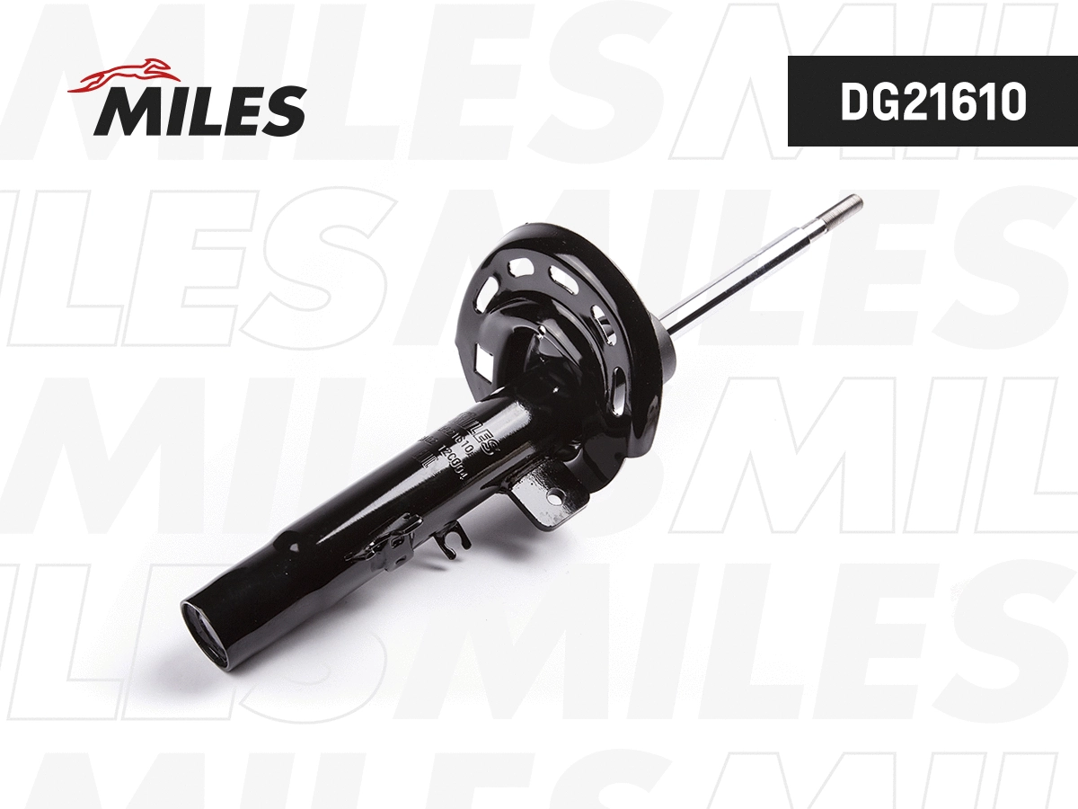 Amortisseur MILES DG21610