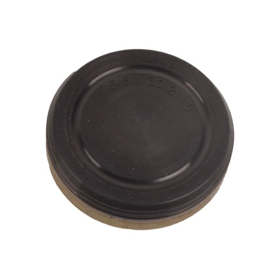 Bouchon, arbre à came BAPMIC BF0425460003
