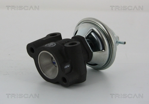 Vanne EGR TRISCAN 8813 43014