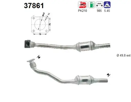 Catalyseur AS 37861