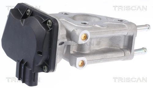 Vanne EGR TRISCAN 8813 13066