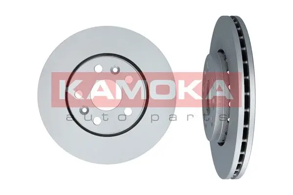 Disque de frein KAMOKA 1033466