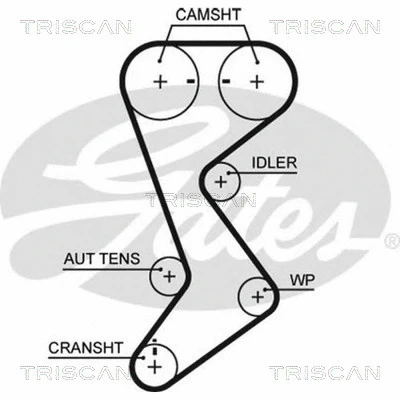 Courroie crantée TRISCAN 8645 T265