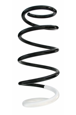 Ressort de suspension SPIDAN GKNW10042