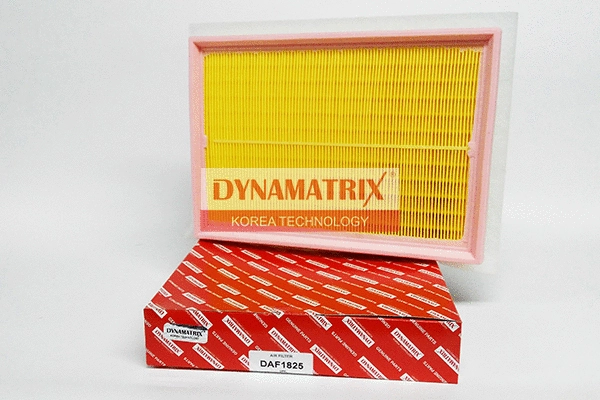 Filtre à air DYNAMATRIX DAF1825