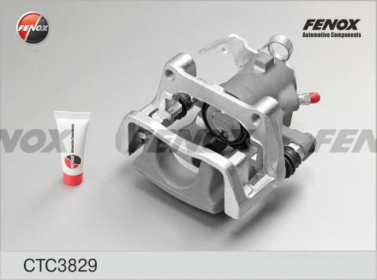 Jeu d'axes d'étriers de freins FENOX CTC3829
