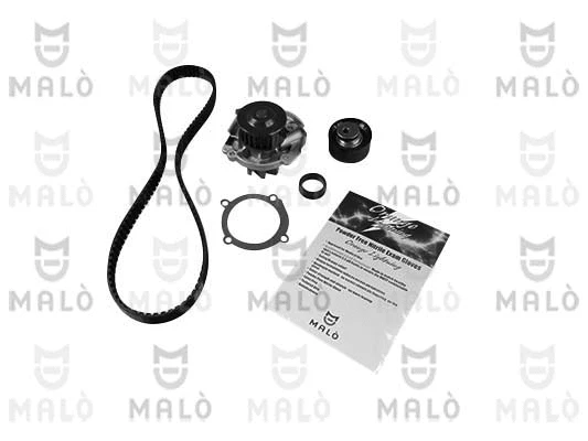 Pompe à eau + kit de courroie crantée AKRON-MALÒ 15550051