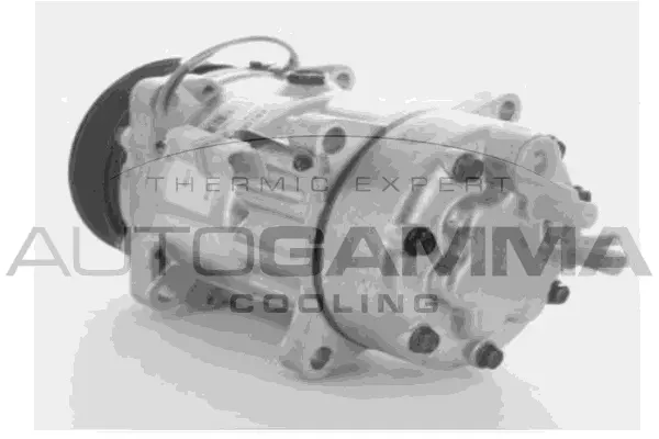Compresseur, climatisation AUTOGAMMA 108008