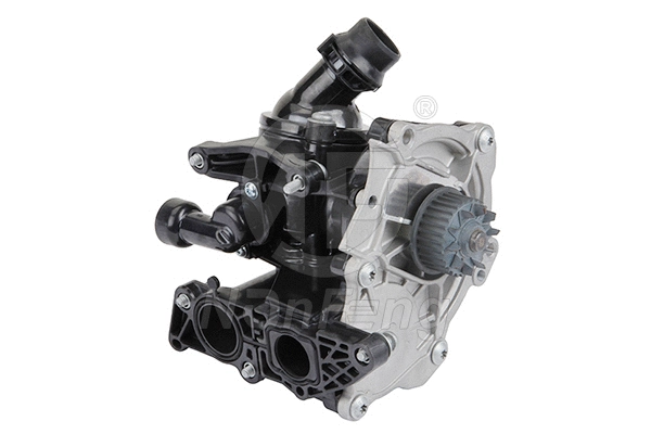 Pompe à eau, refroidissement du moteur NANFENG NF0555