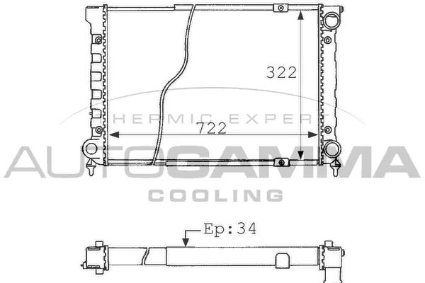 Radiateur, refroidissement du moteur AUTOGAMMA 101073