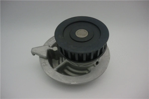 Pompe à eau, refroidissement du moteur GMB GWG-11A