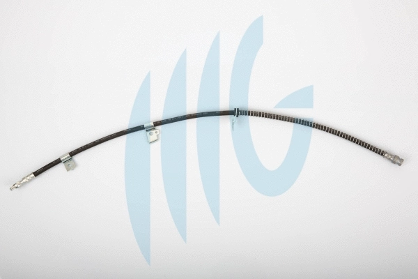 Flexible de frein RICAMBIFLEX GM 02160915