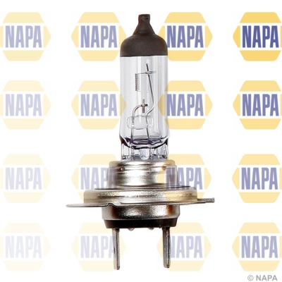 Ampoule, éclairage de virage NAPA NBU1477