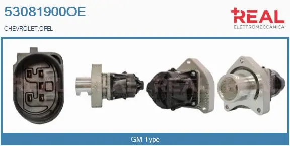 Vanne EGR REAL 53081900OE