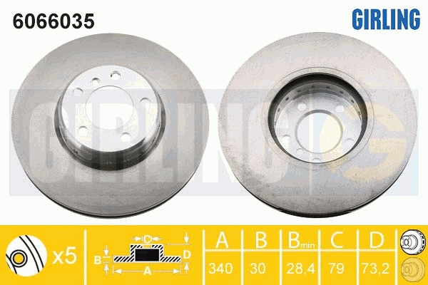 Disque de frein GIRLING 6066035