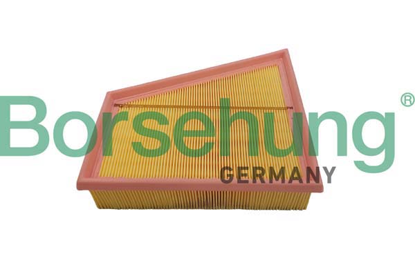 Filtre à air Borsehung B12359