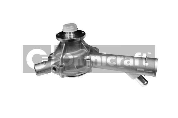 Pompe à eau, refroidissement du moteur Omnicraft 2317062