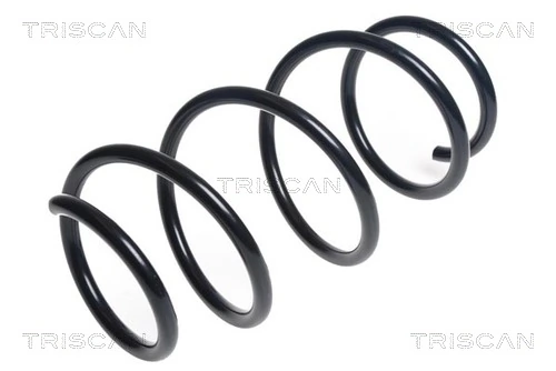 Ressort de suspension TRISCAN 8750 13211