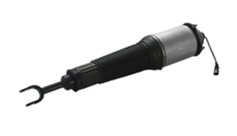 Armortisseur pneumatique MAXTRAC 501020020R