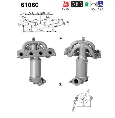 Catalyseur AS 61060