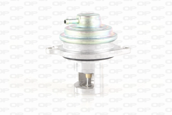 Vanne EGR OPEN PARTS EGR3018.00
