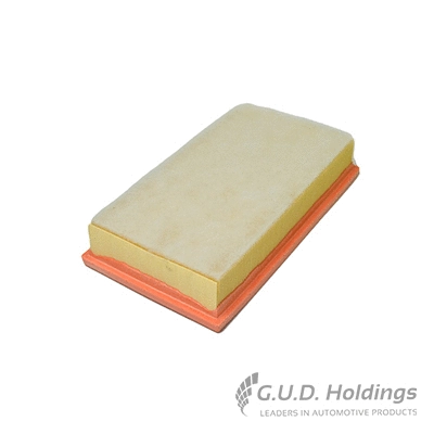 Filtre à air GUD AG1429