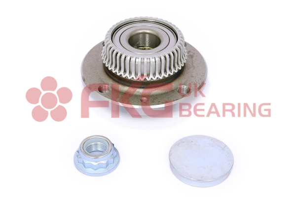 Kit de roulements de roue FKG GL4136S