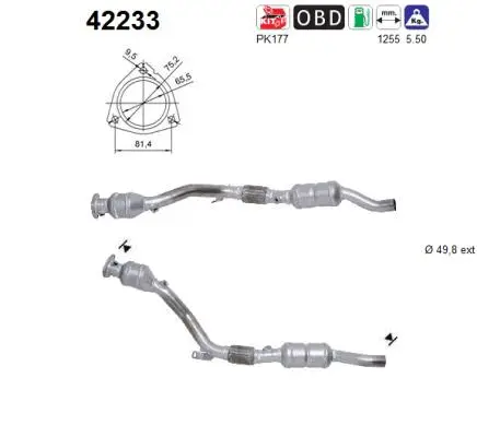 Catalyseur AS 42233