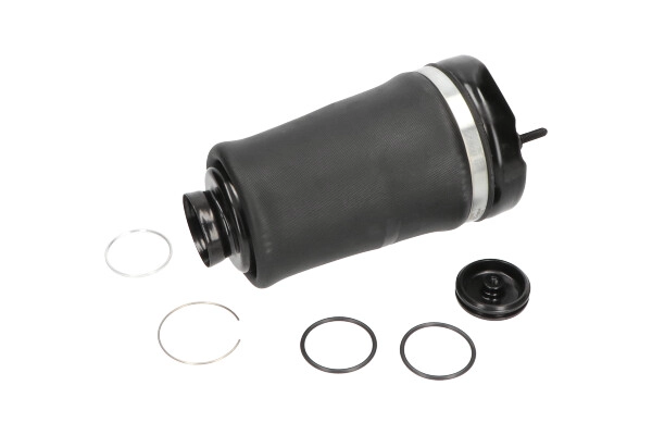 Ressort pneumatique, châssis KAVO PARTS SAS-10004