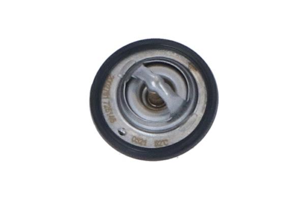 Thermostat, liquide de refroidissement WILMINK GROUP WG2184761