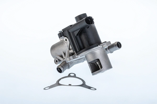 Vanne EGR BorgWarner 710965R