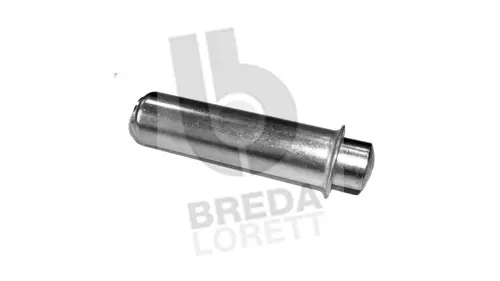 Amortisseur de vibrations, courroie crantée BREDA LORETT TDI3899