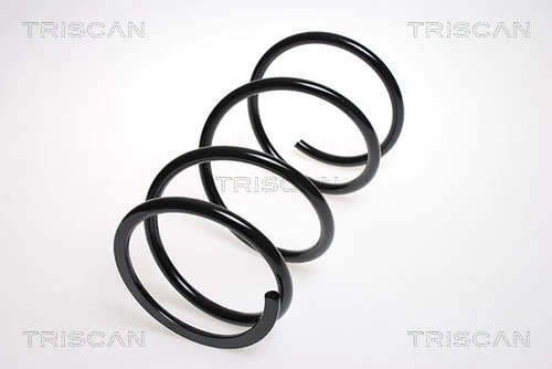 Ressort de suspension TRISCAN 8750 13148