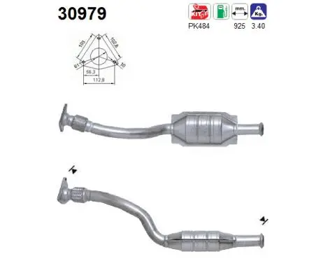 Catalyseur AS 30979