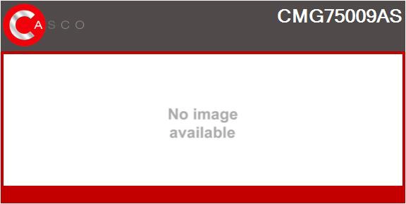 Module-EGR CASCO CMG75009AS