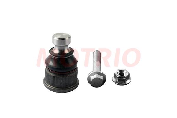 Rotule de suspension MOTRIO 8660005586