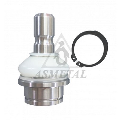 Rotule de suspension ASMETAL 10NS0100