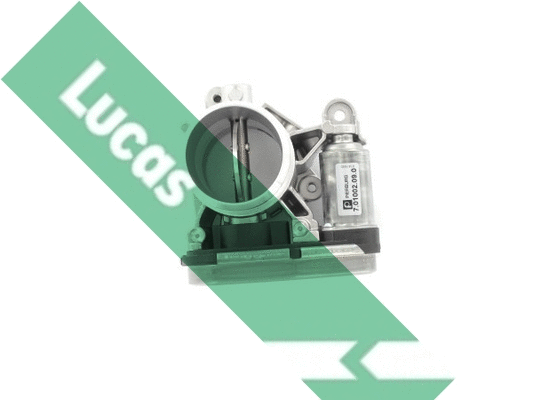 Corps papillon LUCAS LTH523
