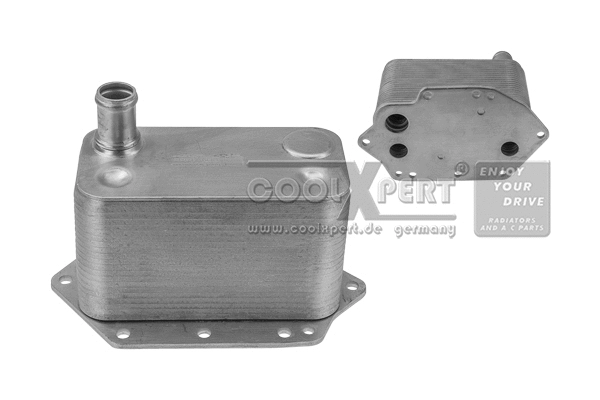 Radiateur d'huile BBR Automotive 001-10-21339