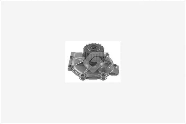 Pompe à eau, refroidissement du moteur HUTCHINSON WP0022V