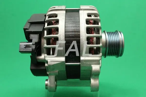 Alternateur FAL Anlasser- und Lichtmaschinenservice F015873/1