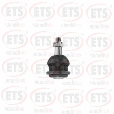 Rotule de suspension ETS 55.BJ.848