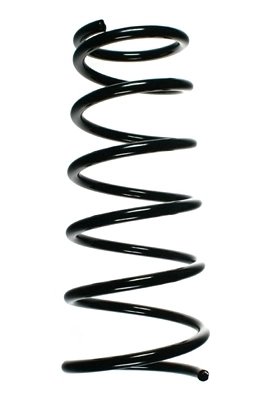Ressort de suspension SPIDAN 55487
